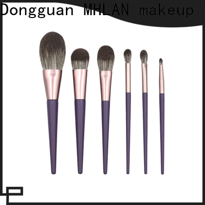 oem odm eyeshadow brush set supplier for wholesale