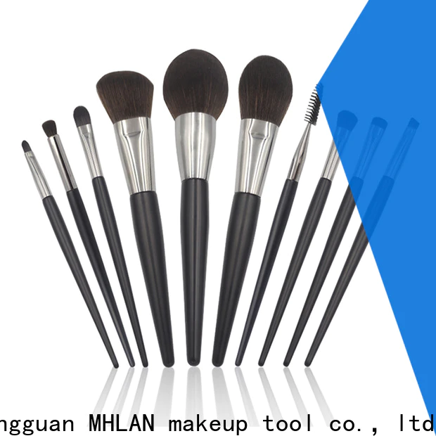 MHLAN eyeshadow brush set from China for makeup artist